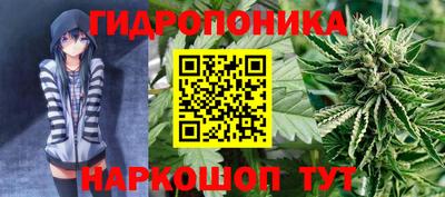 спиды Камышлов