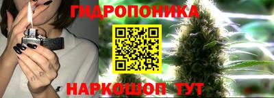ECSTASY Кандалакша