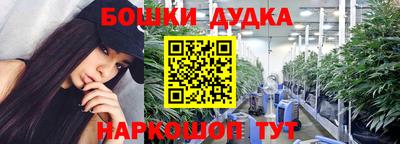 гашик Будённовск