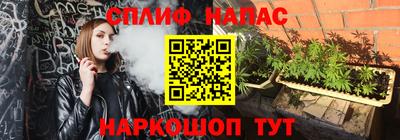 гашик Будённовск