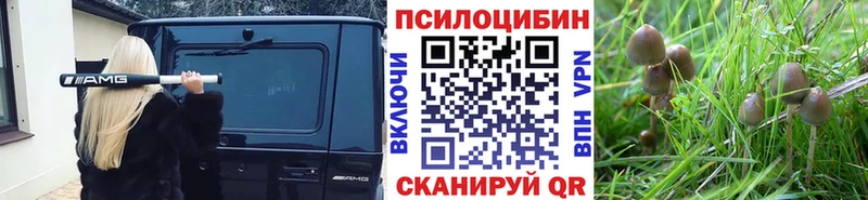 мега ССЫЛКА  Мегион  Псилоцибиновые грибы MAGIC MUSHROOMS 