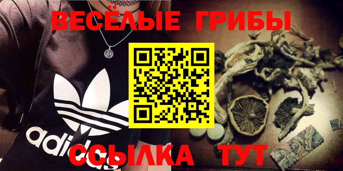 Галлюциногенные грибы Cubensis  Мегион  Псилоцибиновые грибы Cubensis 