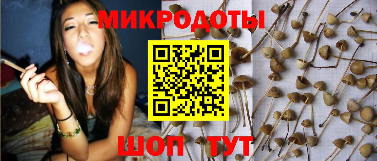 Галлюциногенные грибы Psilocybine cubensis Мегион