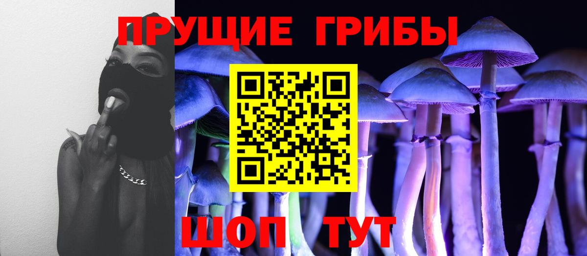 Псилоцибиновые грибы MAGIC MUSHROOMS  Вход с VPN  Мегион  Псилоцибиновые грибы Cubensis 